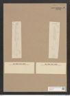 Navicula nobilis var. dactylus V.H. (de-Toni-Nr.: Genus 1, Species 1) Zeichnungen Sammlung Grunow Nr. 8 (NHMW-BOT-W0366189)